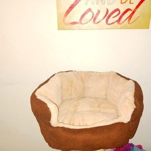 Cat Bed